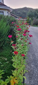 팜모닝 자유주제·자유게시판 게시글 이미지