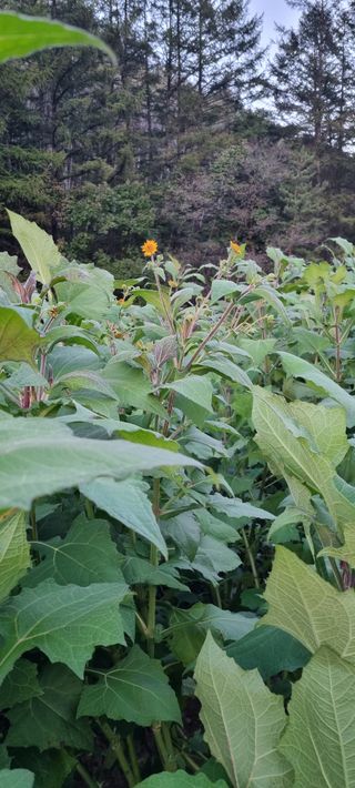 최영호님의 자유주제 · 자유게시판 작성글 사진