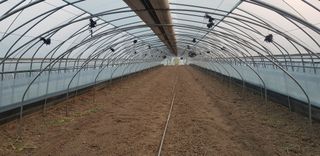 박금주님의 귤 · 일상 작성글 사진