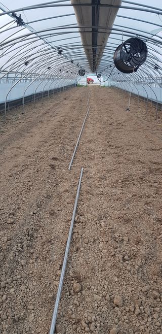 박금주님의 귤 · 일상 작성글 사진