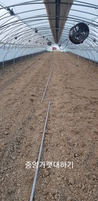 박금주님의 귤 · 일상 작성글 사진