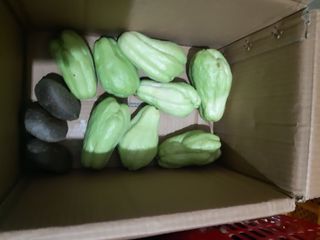 마도님의 10월 농사 성적 자랑하기 · 참여글 작성글 사진