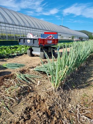 이명숙님의 기타작물 · 자유게시판 작성글 사진
