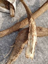 팜모닝 · 게시글 이미지