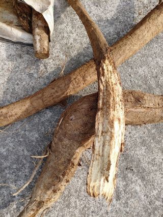 이현상님의 작성글 사진