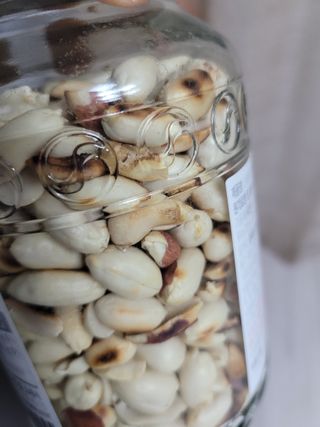 박산숙농부님의 자유주제 · 자유게시판 작성글 사진