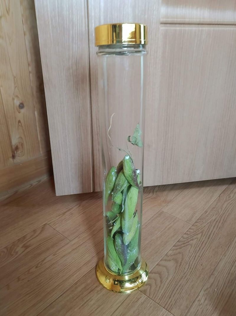 이현상님의 장터 판매 상품 [박주가리씨방 + 용천65호 ; 2병] 첨부 사진