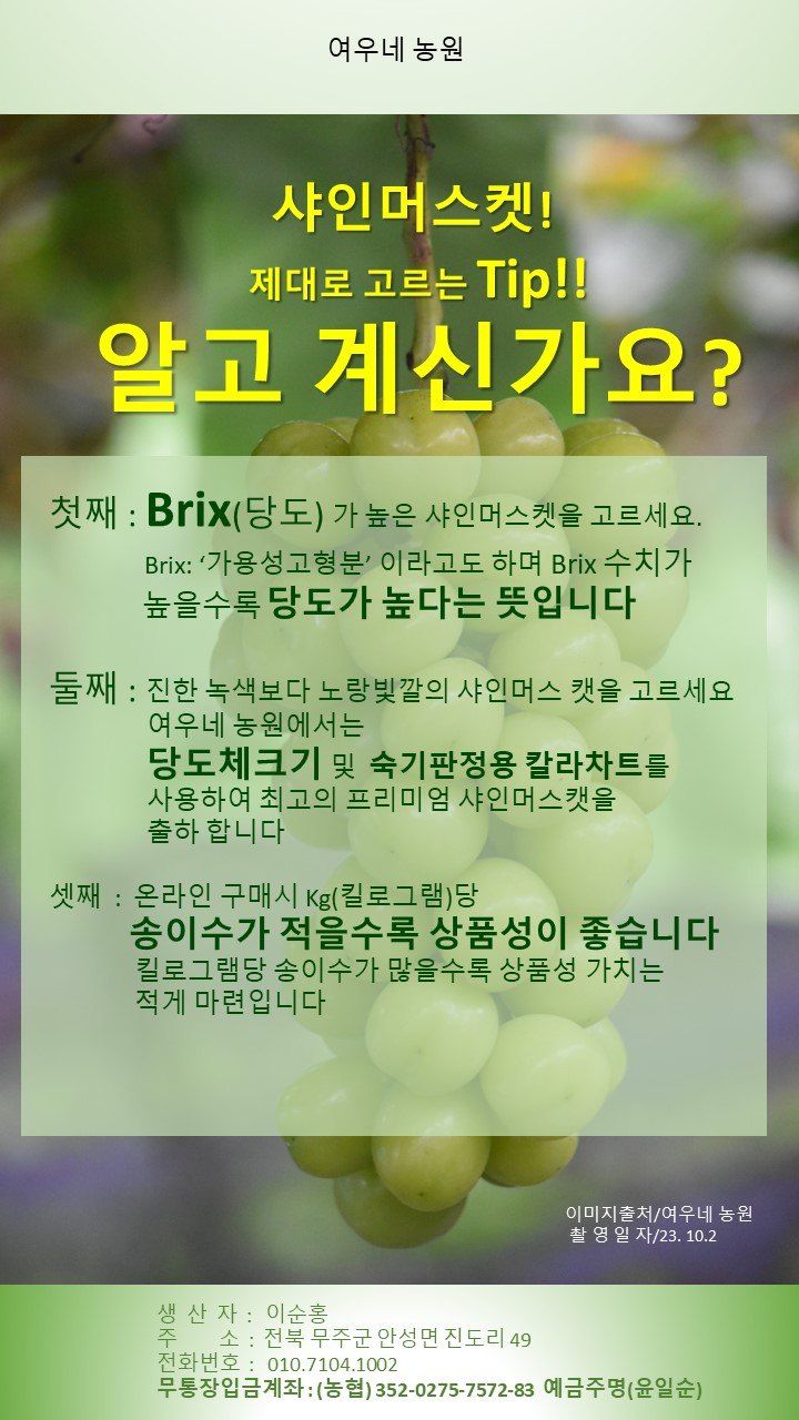 여우내 이순홍님의 장터 판매 상품 [샤인머스캣2kg(3~4수)] 첨부 사진