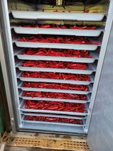 팜모닝 자유주제·자유게시판 게시글 이미지