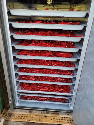 꿈꾸는 삶~님의 자유주제 · 자유게시판 작성글 사진