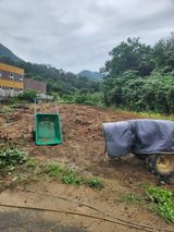 팜모닝 고구마·영농일지 게시글 이미지