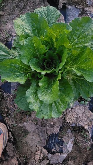 장선영님의 자유주제 · 자유게시판 작성글 사진