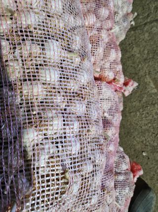 해풍님의 작성글 사진