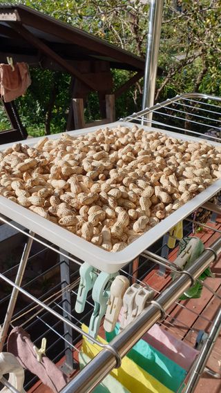 박상권님의 자유주제 · 자유게시판 작성글 사진