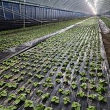 팜모닝 10월 농사 성적 자랑하기·참여글 게시글 이미지