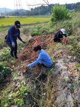 팜모닝 10월 농사 성적 자랑하기·참여글 게시글 이미지