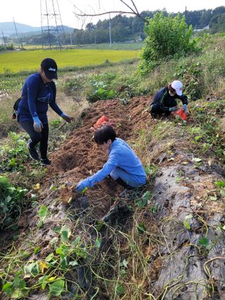 돈디아고(김덕수)님의 10월 농사 성적 자랑하기 · 참여글 작성글 사진