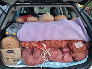 돈디아고(김덕수)님의 10월 농사 성적 자랑하기 · 참여글 작성글 사진