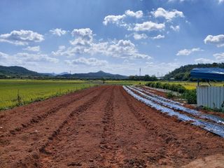 민들레 수연님의 10월 농사 성적 자랑하기 · 참여글 작성글 사진