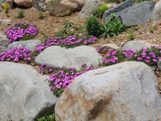 최순님의 기타작물 · 자유게시판 작성글 사진