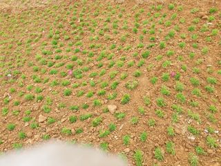 최순님의 기타작물 · 자유게시판 작성글 사진