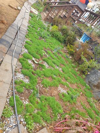 최순님의 기타작물 · 자유게시판 작성글 사진