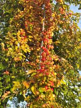 팜모닝 10월 농사 성적 자랑하기·참여글 게시글 이미지