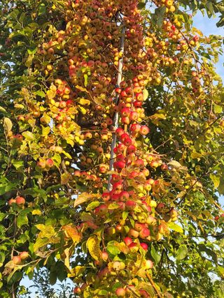 최승국님의 10월 농사 성적 자랑하기 · 참여글 작성글 사진