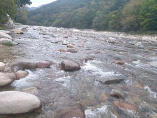 최순님의 자유주제 · 칭찬해요 작성글 사진