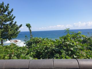 최순님의 자유주제 · 칭찬해요 작성글 사진