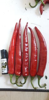 팜모닝 10월 농사 성적 자랑하기·참여글 게시글 이미지