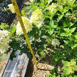 팜모닝 10월 농사 성적 자랑하기·참여글 게시글 이미지