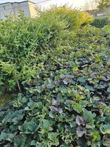 팜모닝 10월 농사 성적 자랑하기·참여글 게시글 이미지