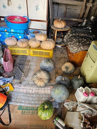 김상식님의 10월 농사 성적 자랑하기 · 참여글 작성글 사진