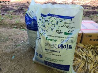 김봉학님의 마늘 · 영농일지 작성글 사진