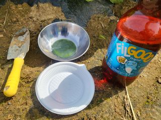 들꽃농장님의 배추 · 일상 작성글 사진