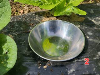 들꽃농장님의 배추 · 일상 작성글 사진