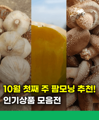 팜모닝 장터님의 장터이야기 · 공지 작성글 사진