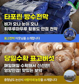 팜모닝 장터님의 장터이야기 · 공지 작성글 사진