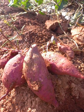 최유순님의 자유주제 · 자유게시판 작성글 사진