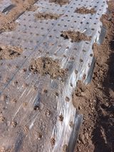 팜모닝 자유주제·자유게시판 게시글 이미지