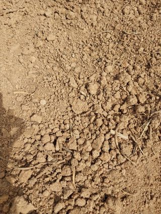 차영근님의 10월 농사 성적 자랑하기 · 참여글 작성글 사진