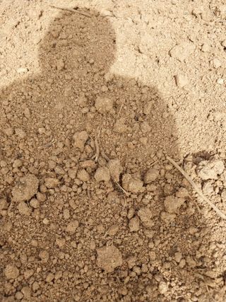 차영근님의 10월 농사 성적 자랑하기 · 참여글 작성글 사진