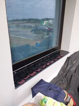 팜모닝 배추·수확 게시글 이미지