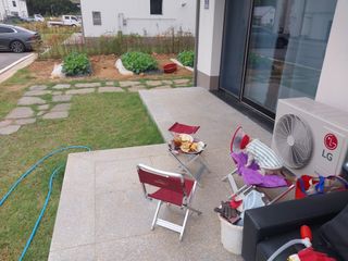 하늘샘(하경수)님의 배추 · 수확 작성글 사진