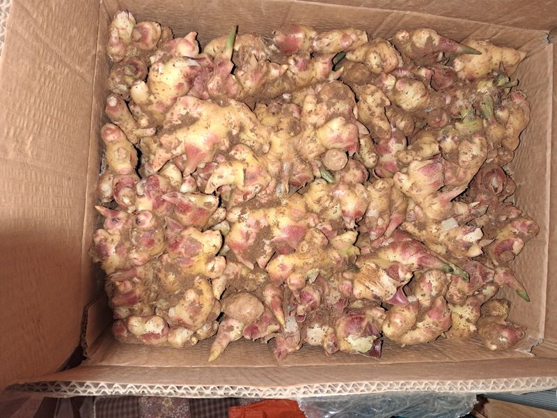 장터 상품 [농부어천 생강 1kg] 썸네일