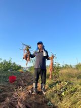 팜모닝 10월 농사 성적 자랑하기·참여글 게시글 이미지