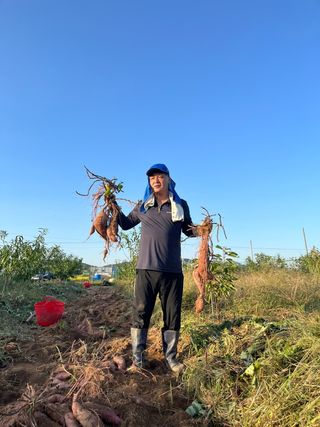 김호영님의 10월 농사 성적 자랑하기 · 참여글 작성글 사진