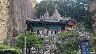 제주농부님의 배추 · 일상 작성글 사진