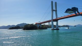 제주농부님의 배추 · 일상 작성글 사진